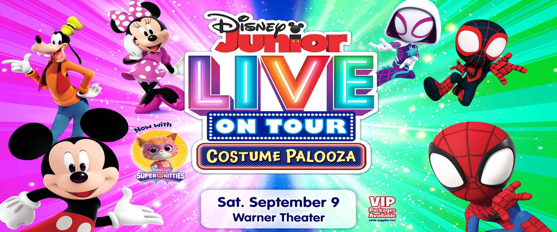 DisneyBannerWebsite