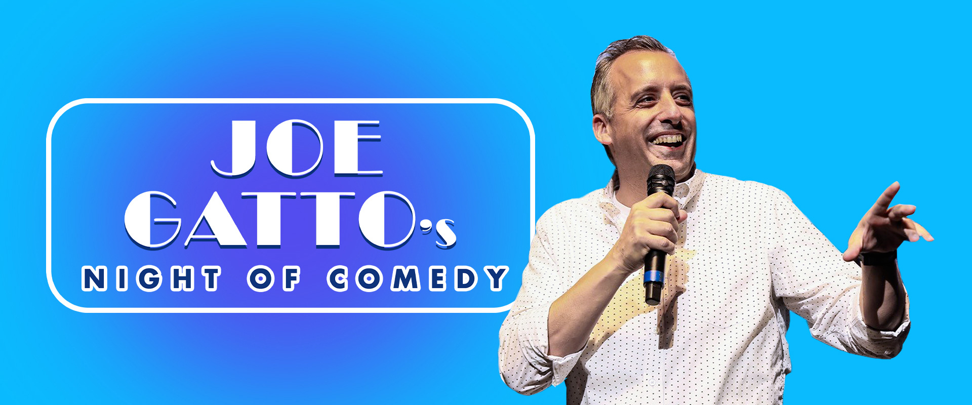GattoBannerWebsite