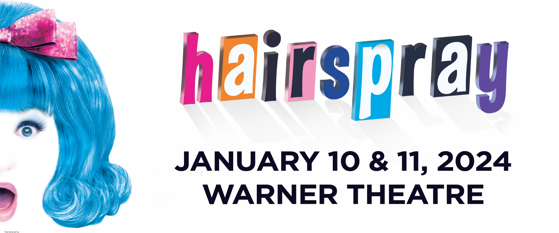HairsprayBanner